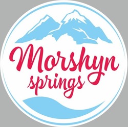 Заявка на торговельну марку № m202323206: morshyn springs