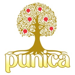 Заявка на торговельну марку № m202314563: punica