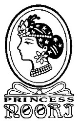 Заявка на торговельну марку № 99030987: princess noori