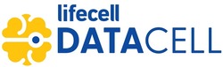 Свідоцтво торговельну марку № 312485 (заявка m202111353): data cell; datacell; lifecell