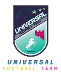 Заявка на торговельну марку № m202524375: gnidava; universal football team