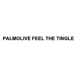 Заявка на торговельну марку № m202605289: palmolive feel the tingle