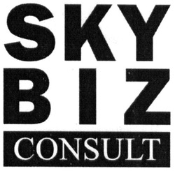 Свідоцтво торговельну марку № 278310 (заявка m201812100): sky biz consult