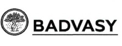 Свідоцтво торговельну марку № 332001 (заявка m202103437): badvasy
