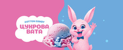 Заявка на торговельну марку № m202515866: цукрова вата; cotton candy