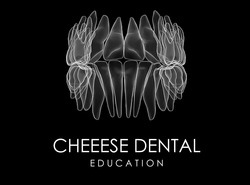 Заявка на торговельну марку № m202300202: cheese; cheeese dental education