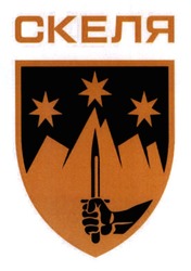 Заявка на торговельну марку № m202603631: скеля