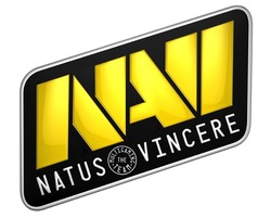 Свідоцтво торговельну марку № 281708 (заявка m201927625): navi natus the multigaming team vincere
