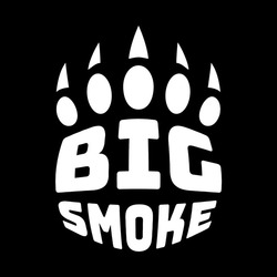 Заявка на торговельну марку № m202522451: big smoke