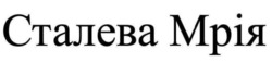 Заявка на торговельну марку № m202516623: сталева мрія