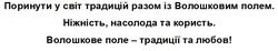 Заявка на торговельну марку № m202415965: волошкове поле - традиції та любов!; ніжність, насолода та користь; поринути у світ традицій разом із волошковим полем