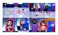 Заявка на торговельну марку № m202602597: 13 ультрастильних аксесуарів; ролер для обличчя