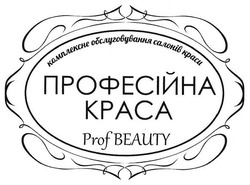 Свідоцтво торговельну марку № 287235 (заявка m201813131): професійна краса; комплексне обслуговування салонів краси; prof beauty