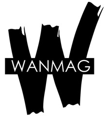 Свідоцтво торговельну марку № 316150 (заявка m202111652): wanmag