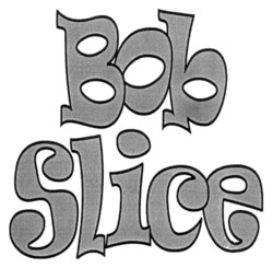 Заявка на торговельну марку № m202318192: bob slice