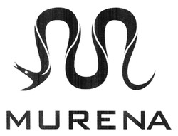 Свідоцтво торговельну марку № 239042 (заявка m201611843): murena
