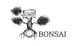 Свідоцтво торговельну марку № 304449 (заявка m201919800): bonsai