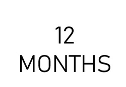 Заявка на торговельну марку № m202603876: 12 months