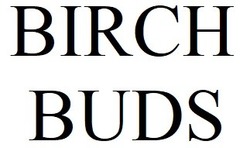 Заявка на торговельну марку № m202112912: birch buds