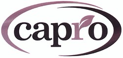 Заявка на торговельну марку № m201219942: capro