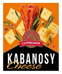 Заявка на торговельну марку № m202511974: kabanosy cheese; мясокомбінат; м'ясокомбінат салтівський