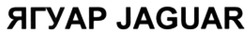 Заявка на торговельну марку № m202517669: jaguar; ягуар