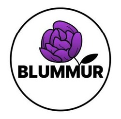 Заявка на торговельну марку № m202516372: blummur