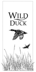 Заявка на торговельну марку № m202207034: wild duck