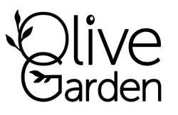 Свідоцтво торговельну марку № 311248 (заявка m201932778): olive garden