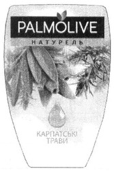 Свідоцтво торговельну марку № 245517 (заявка m201624901): palmolive; карпатські трави; натурель