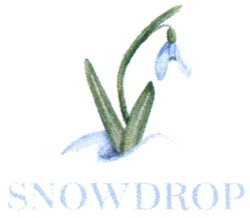 Заявка на торговельну марку № m201912039: snowdrop