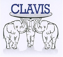 Свідоцтво торговельну марку № 98657 (заявка m200711436): clavis