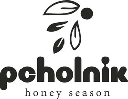 Свідоцтво торговельну марку № 297904 (заявка m201917522): pcholnik honey season