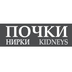 Свідоцтво торговельну марку № 247431 (заявка m201620596): почки; нирки; kidneys