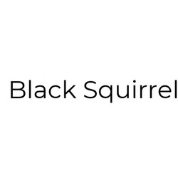 Заявка на торговельну марку № m201821159: black squirrel