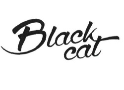 Свідоцтво торговельну марку № 241454 (заявка m201618938): black cat