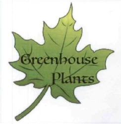 Заявка на торговельну марку № m201607536: greenhouse plants