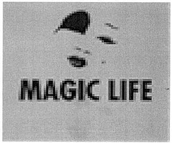 Заявка на торговельну марку № m200502895: magic life