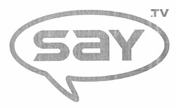 Заявка на торговельну марку № m201116271: say.tv