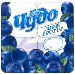 Свідоцтво торговельну марку № 158891 (заявка m201110352): чудо легкий йогуртер