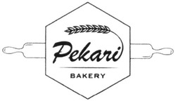 Свідоцтво торговельну марку № 338099 (заявка m202004303): pekari bakery