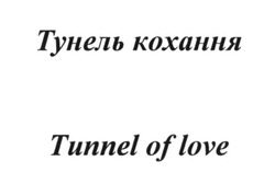Свідоцтво торговельну марку № 242328 (заявка m201623082): tunnel of love; тунель кохання