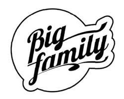 Заявка на торговельну марку № m202509032: big family