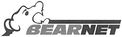 Заявка на торговельну марку № m200615246: bearnet