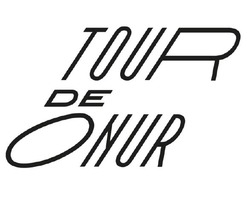 Свідоцтво торговельну марку № 319907 (заявка m202017177): tour de onur