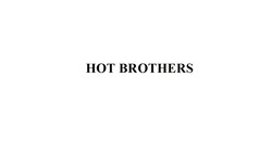 Заявка на торговельну марку № m202513048: hot brothers