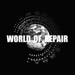 Заявка на торговельну марку № m202509348: world of repair