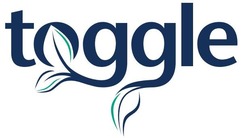 Свідоцтво торговельну марку № 316045 (заявка m202011996): toggle