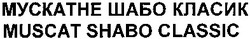 Свідоцтво торговельну марку № 191544 (заявка m201308601): мускатне шабо класик; muscat shabo classic