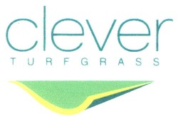 Свідоцтво торговельну марку № 155682 (заявка m201106512): clever turfgrass